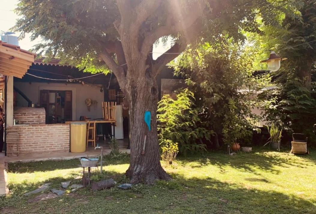 Bed and Breakfast Altos de Empalme Lobos Exterior foto